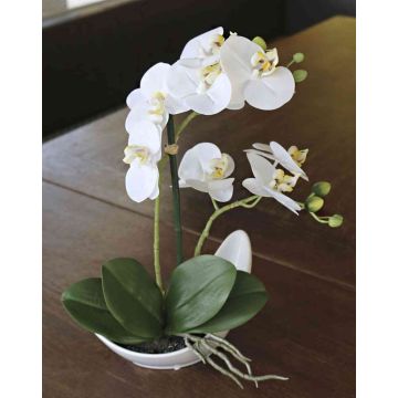 Plastik Phalaenopsis Orchidee ZARMINAH in Keramikschale, weiß, 35cm