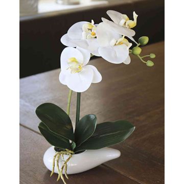 Plastik Phalaenopsis Orchidee ZARMINAH im Keramikschale, weiß, 30cm