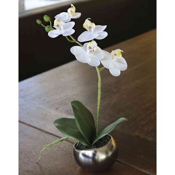 Plastik Phalaenopsis Orchidee ZARMINAH im Keramiktopf, weiß, 30cm