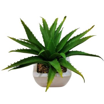 Kunst Aloe Vera KATNISS, Keramiktopf, grün, 19cm