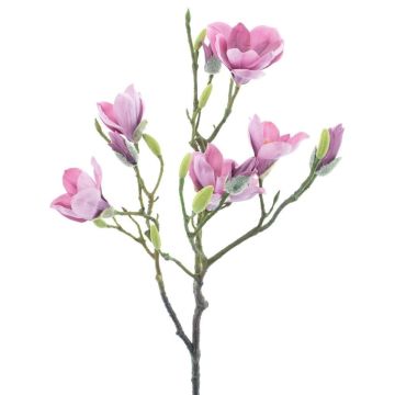 Künstlicher Zweig Magnolie GUNI, violett, 90cm