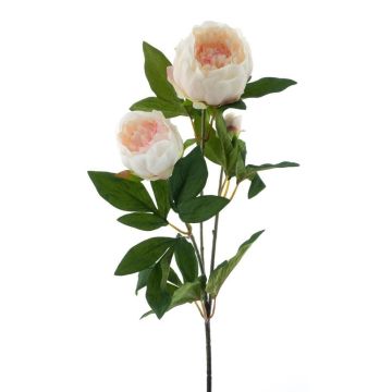 Künstlicher Pfingstrose Zweig THEMIA, creme-rosa, 65cm