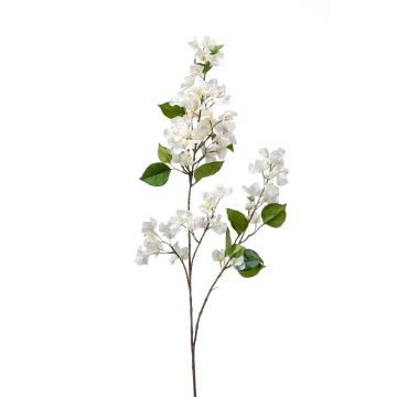 Dekozweig Bougainvillea MONELS mit Blüten, creme, 115cm