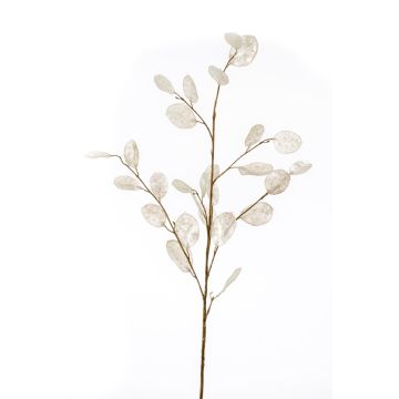 Kunst Lunaria Zweig BUELNA, creme, 105cm