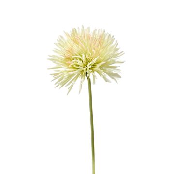 Kunstblume Chrysantheme KISANNA, hellgrün-rosa, 60cm, Ø13cm