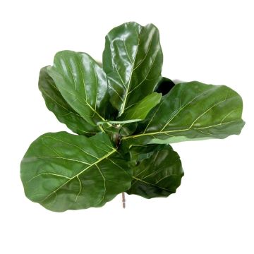 Unechter Ficus Lyrata ATIKA auf Steckstab, grün, 60cm