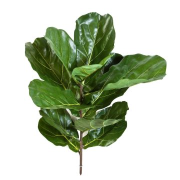 Unechter Ficus Lyrata ATIKA auf Steckstab, grün, 75cm