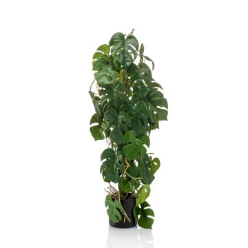 Kunst Philodendron Monstera Deliciosa RONGPU, 75cm